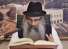 Rabbi Yossef Shubeli - lectures - torah lesson - Chabad on Parshat: Shemini - Sunday 74 - Parashat Shemini, Two Minutes Chabad, Chabad, Rabbi Menachem Mendel Schneerson, Rabbi Yossef Shubeli, Weekly Parasha, Parshat Shavua