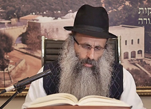 Rabbi Yossef Shubeli - lectures - torah lesson - Chabad on Parshat: Shemini - Thursday 74 - Parashat Shemini, Two Minutes Chabad, Chabad, Rabbi Menachem Mendel Schneerson, Rabbi Yossef Shubeli, Weekly Parasha, Parshat Shavua