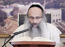 Rabbi Yossef Shubeli - lectures - torah lesson - Chabad on Parshat: Tazria - Friday 74 - Parashat Tazria, Two Minutes Chabad, Chabad, Rabbi Menachem Mendel Schneerson, Rabbi Yossef Shubeli, Weekly Parasha, Parshat Shavua