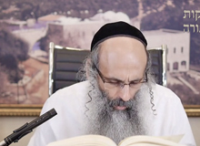 Rabbi Yossef Shubeli - lectures - torah lesson - Chabad on Parshat: Kedoshim - Monday 74 - Parashat Kedoshim, Two Minutes Chabad, Chabad, Rabbi Menachem Mendel Schneerson, Rabbi Yossef Shubeli, Weekly Parasha, Parshat Shavua