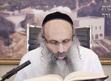 Rabbi Yossef Shubeli - lectures - torah lesson - Chabad on Parshat: Kedoshim - Thursday 74 - Parashat Kedoshim, Two Minutes Chabad, Chabad, Rabbi Menachem Mendel Schneerson, Rabbi Yossef Shubeli, Weekly Parasha, Parshat Shavua
