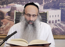 Rabbi Yossef Shubeli - lectures - torah lesson - Chabad on Parshat: Emor - Tuesday 74 - Parashat Emor, Two Minutes Chabad, Chabad, Rabbi Menachem Mendel Schneerson, Rabbi Yossef Shubeli, Weekly Parasha, Parshat Shavua