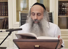 Rabbi Yossef Shubeli - lectures - torah lesson - Chabad on Parshat: Ki Teze - Monday 74 - Parashat Ki Teze, Two Minutes Chabad, Chabad, Rabbi Menachem Mendel Schneerson, Rabbi Yossef Shubeli, Weekly Parasha, Parshat Shavua