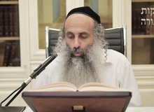 Rabbi Yossef Shubeli - lectures - torah lesson - Chabad on Parshat: Nitzavim - Sunday 74 - Parashat Nitzavim, Two Minutes Chabad, Chabad, Rabbi Menachem Mendel Schneerson, Rabbi Yossef Shubeli, Weekly Parasha, Parshat Shavua