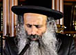 Rabbi Yossef Shubeli - lectures - torah lesson - Sukkot - Friday Tishrei 12th 5773 lesson C, Two minutes Of Halacha. - Two minutes of halacha, 4th minim, Sukkot, halacha yomit