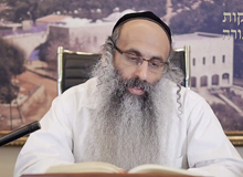 Rabbi Yossef Shubeli - lectures - torah lesson - 2 Min Torah - Kedoshim: Monday ,74 - Parashat Kedoshim, Two Minutes of Torah, Rabbi Yossef Shubeli, Parsha, Weekly Parasha