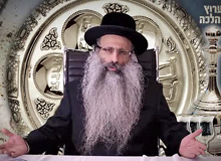 Rabbi Yossef Shubeli - lectures - torah lesson - Halacha Yomit - Parashat Shemini - Passover: Nissan 20 Thursday, 75 - Parashat Shemini, Halacha Yomit, Jewish Law, Laws, Rabbi Yosef Shubeli