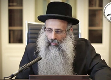 Rabbi Yossef Shubeli - lectures - torah lesson - Snatch A Short Dvar Torah: Eyre 22, 74 - Parashat Bamidbar, Torah, Snatch Dvar Torah, Rabbi Yosef Shubeli, Breslev