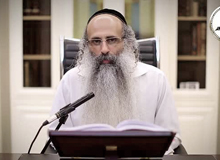 Rabbi Yossef Shubeli - lectures - torah lesson - Snatch A Short Dvar Torah: Elul 2 Thursday , 74 - Parashat Shoftim, Torah, Snatch Dvar Torah, Rabbi Yosef Shubeli, Sages of Israel, Breslev