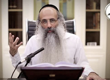 Rabbi Yossef Shubeli - lectures - torah lesson - Snatch A Short Dvar Torah: Elul 5 Sunday , 74 - Parashat Ki Teizei, Torah, Snatch Dvar Torah, Rabbi Yosef Shubeli, Sages of Israel, Breslev