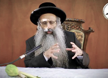 Rabbi Yossef Shubeli - lectures - torah lesson - Snatch A Short Dvar Torah: Tishrei 19 Monday, 75 - Parashat Bereshit, Torah, Snatch Dvar Torah, Rabbi Yosef Shubeli, Sages of Israel, Breslev