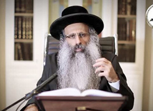 Rabbi Yossef Shubeli - lectures - torah lesson - Snatch A Short Dvar Torah: Tishrei 8 Thursday , 75 - Parashat Vezot Haberacha, Torah, Snatch Dvar Torah, Rabbi Yosef Shubeli, Sages of Israel, Breslev