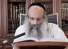 Rabbi Yossef Shubeli - lectures - torah lesson - Pesach I, 5774 - Pesach, Pesah, Passover, Hagada