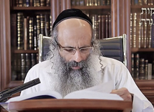 Rabbi Yossef Shubeli - lectures - torah lesson - Pesach II, 5774 - Pesach, Pesah, Passover, Hagada