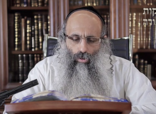 Rabbi Yossef Shubeli - lectures - torah lesson - Pesach IV, 5774 - Pesach, Pesah, Passover, Hagada