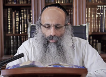 Rabbi Yossef Shubeli - lectures - torah lesson - Pesach V, 5774 - Pesach, Pesah, Passover, Hagada